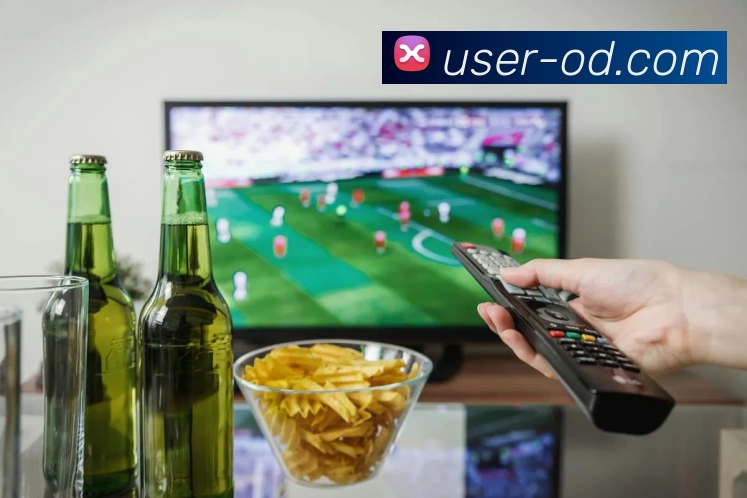 OD体育服务体系